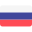 russia flag icon
